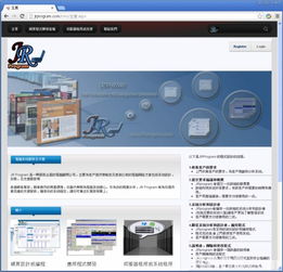 商用系统与软件开发 从会计系统到计算机软硬件开发